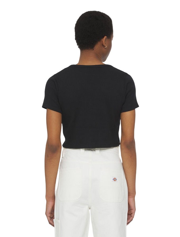 Dickies Maglia Cardigan da donna Emporia DK0A4YRUBLK1 nero