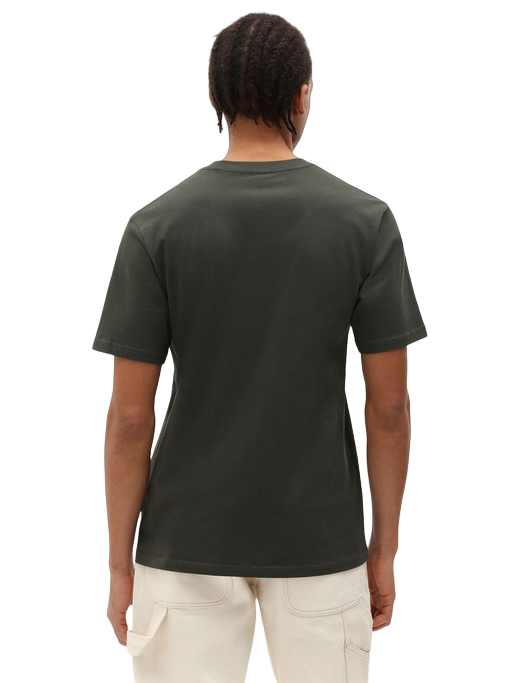 Dickies maglietta manica corta da uomo Mapleton DK0A4XDB verde oliva SPORTIAMO