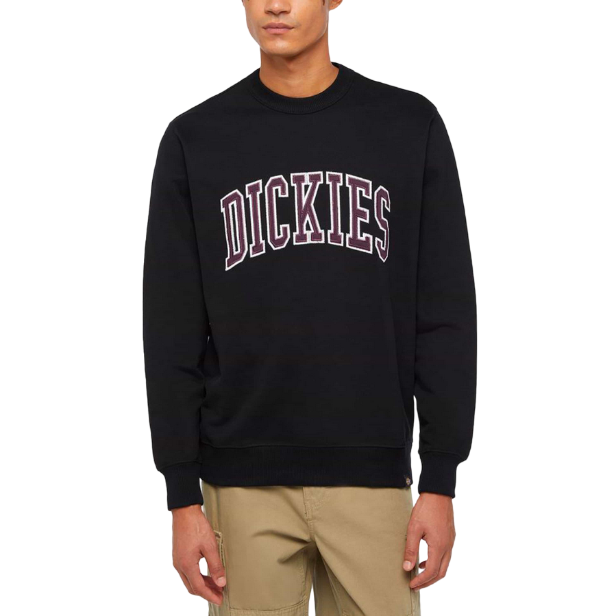 Dickies felpa girocollo da uomo Aitkin DK0A4XABJ941 nero