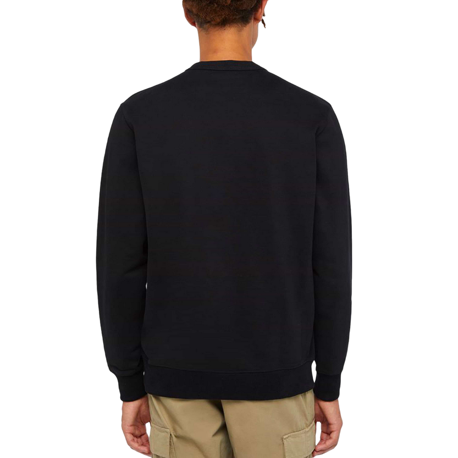 Dickies felpa girocollo da uomo Aitkin DK0A4XABJ941 nero