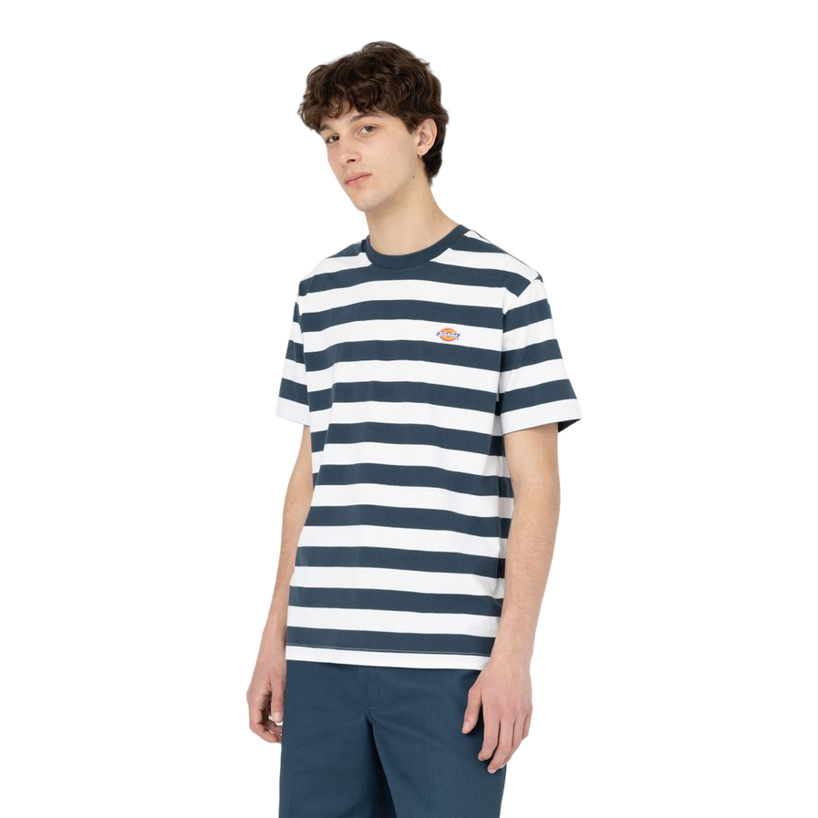 Dickies maglia manica corta da uomo a righe Rivergrove DK0A4Y8YAF01 blu