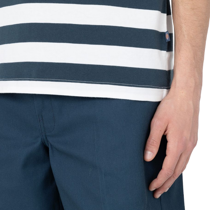 Dickies maglia manica corta da uomo a righe Rivergrove DK0A4Y8YAF01 blu