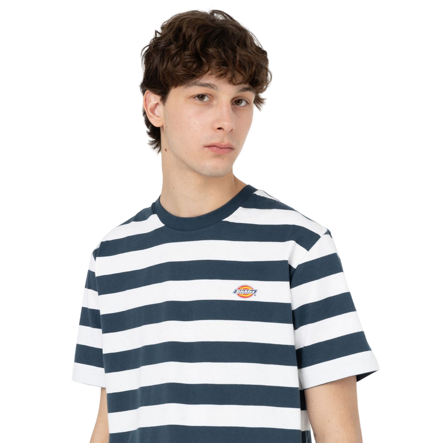 Dickies maglia manica corta da uomo a righe Rivergrove DK0A4Y8YAF01 blu