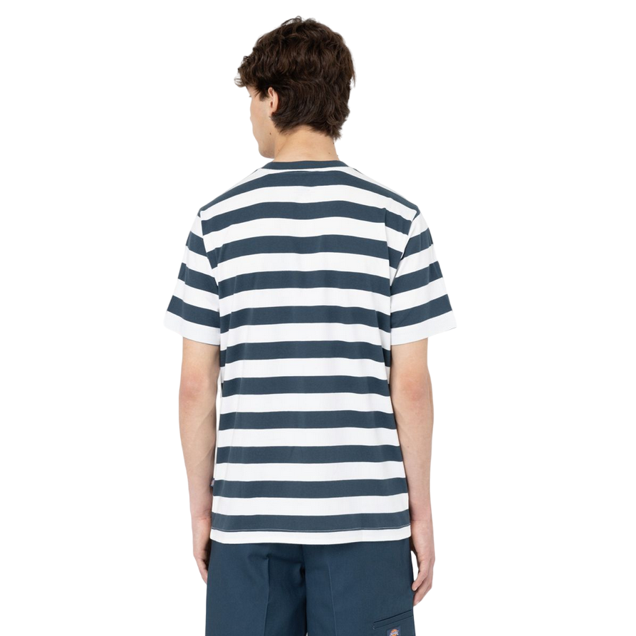 Dickies maglia manica corta da uomo a righe Rivergrove DK0A4Y8YAF01 blu