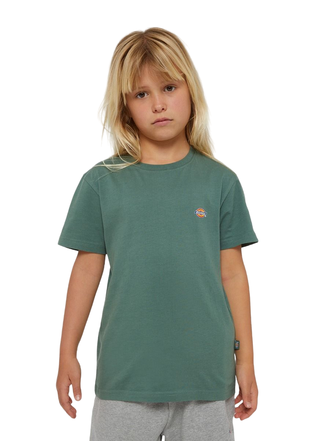 Dickies maglietta manica corta da ragazzi Mapleton foresta