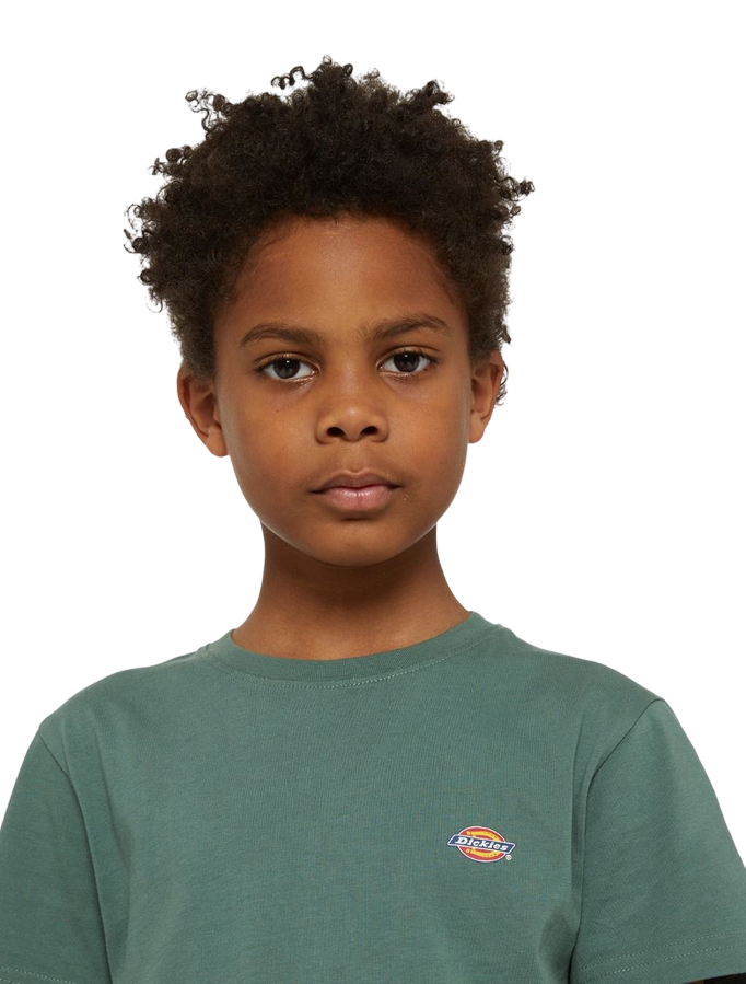 Dickies maglietta manica corta da ragazzi Mapleton foresta