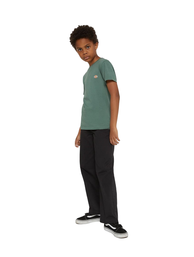 Dickies maglietta manica corta da ragazzi Mapleton foresta