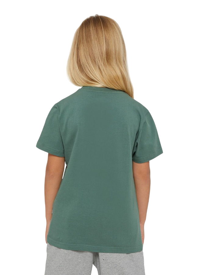 Dickies maglietta manica corta da ragazzi Mapleton foresta