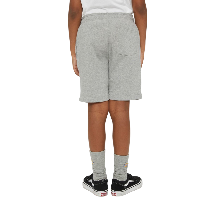 Dickies pantaloncino sportivo da ragazzi Mapleton DK0KRR330H21 grigio
