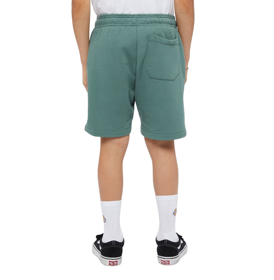 Dickies pantaloncino sportivo da ragazzi Mapleton DK0KRR33H151 foresta