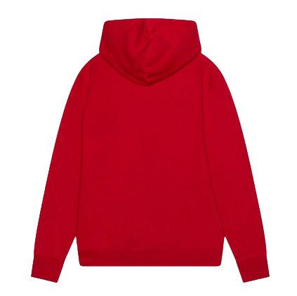 Jordan felpa con cappuccio da ragazzo MJ Essentials 95C630-R78 rosso