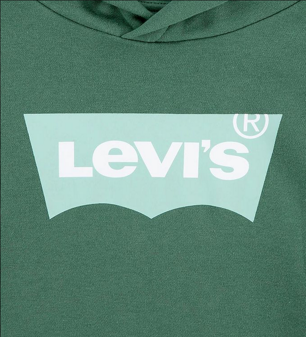 Levi's felpa con cappuccio da ragazzi con logo Batwing 9EE910-EFX verde foresta