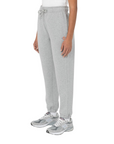 Vista laterale pantalone Dickies Mapleton DK0A4XIMGYM unisex grigio pile spazzolato