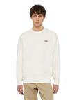 Sportiamo_Dickies Felpa girocollo da uomo Millersburg DK0A4YLZECR1 ecru