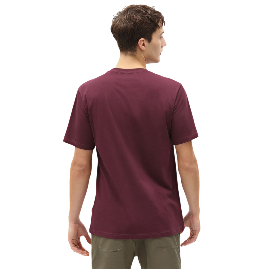 Sportiamo_Dickies T-shirt manica corta da uomo Mapleton DK0A4XDB MR0 marrone2