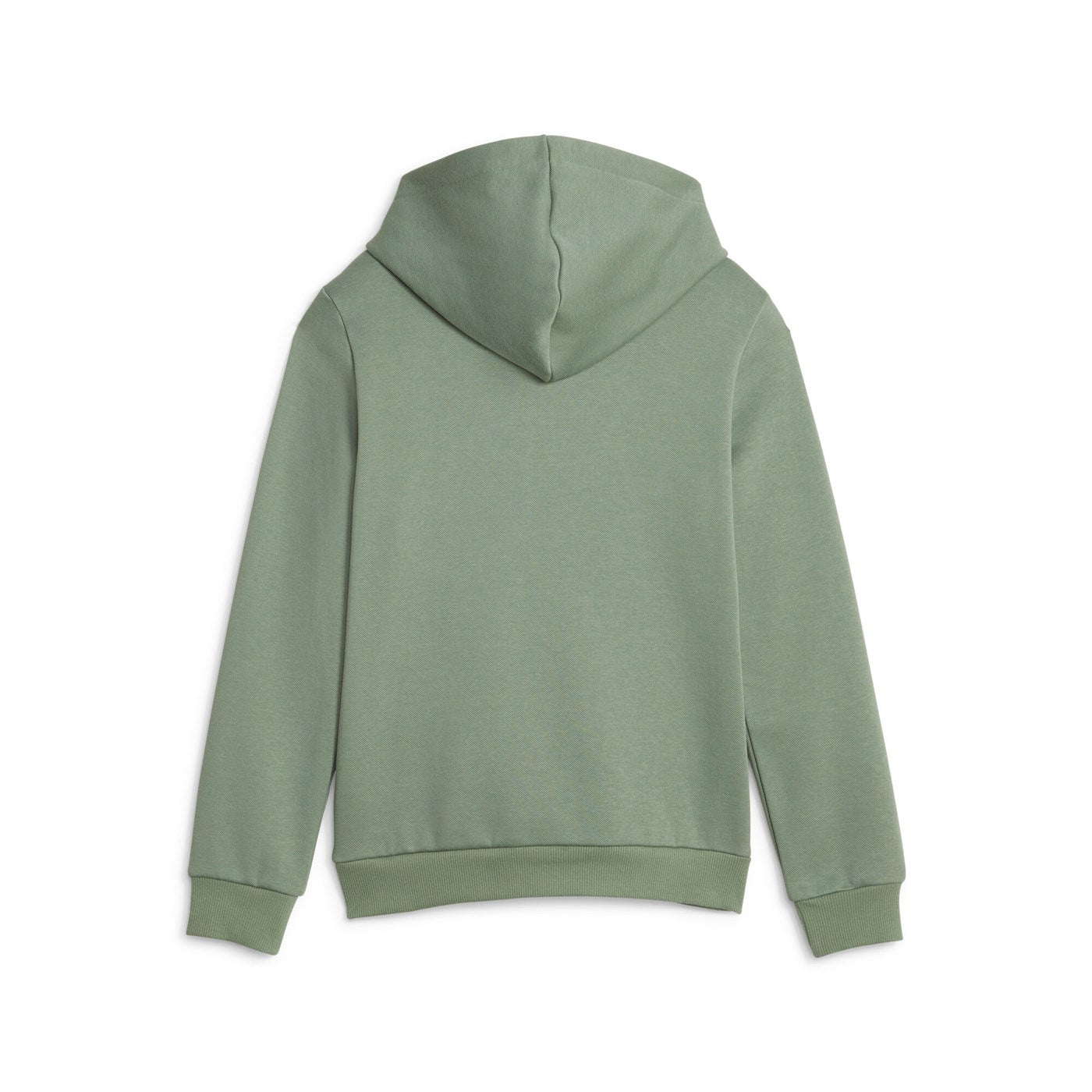 Puma felpa con cappuccio da ragazzo Block 849081-44 eucalipto