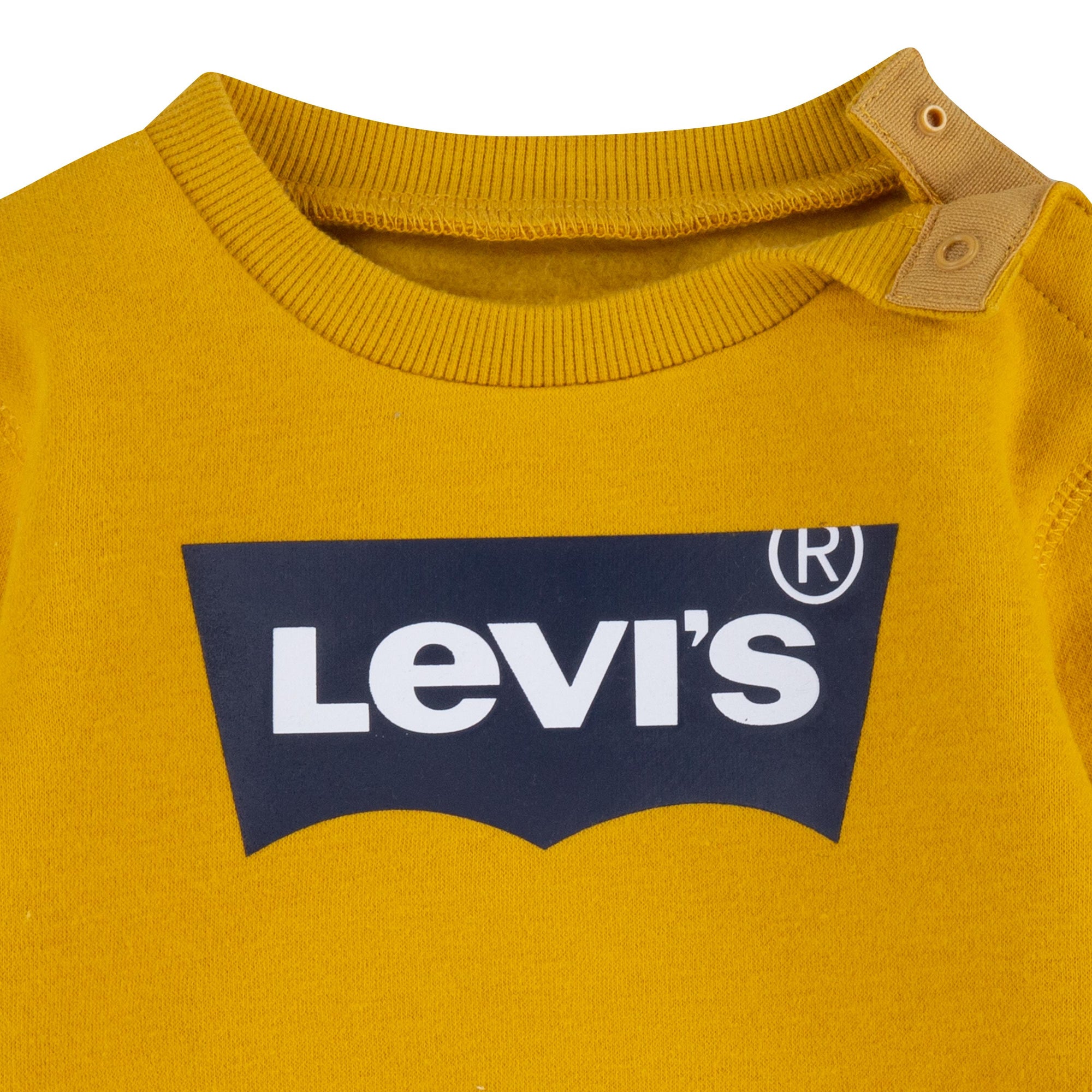 Levi's Kids Felpa da bambino Batwing Screenprint Hoodie 6E9079 Y0L giallo oro