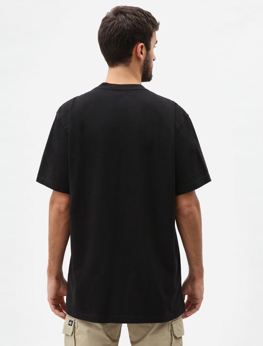 Dickies T-shirt Porterdale DK0A4TMO BLK black
