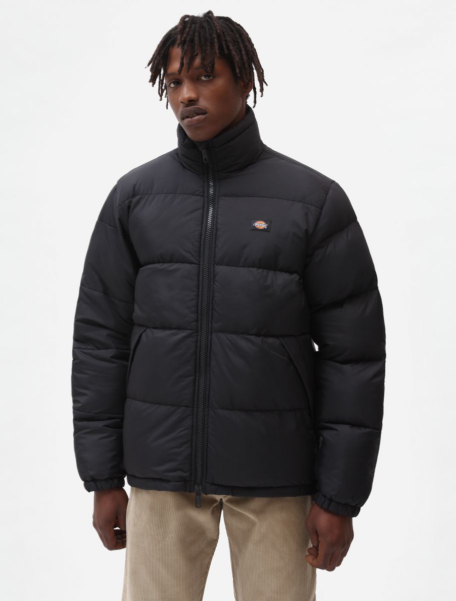 Dickies Piumino da uomo Waldenburg DK0A4XP2BLK1 nero