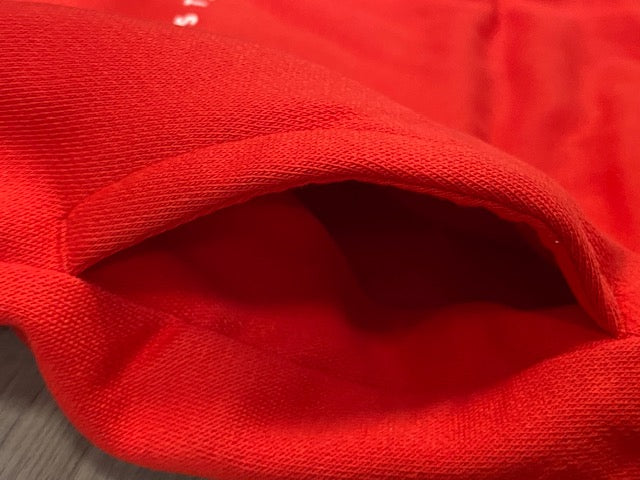 Puma felpa da bambino con cappuccio stampa logo grande 846887 11 rosso