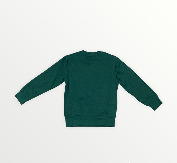 Champion Felpa 305360 GS502 HLG verde