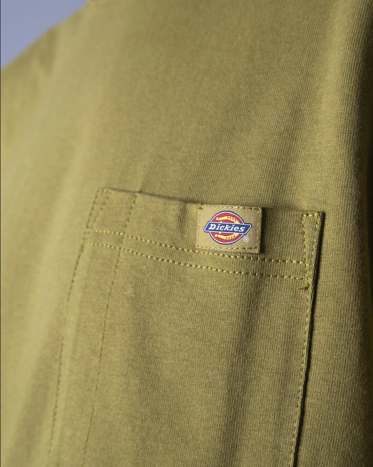 Dickies maglietta manica corta da uomo con taschino Porterdale DK0A4TMO C32 verde muschio