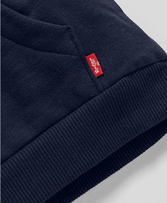 Levis Felpa da ragazzo con cappuccio Batwing Screenprint Hoodie 9E8778-C8D blu