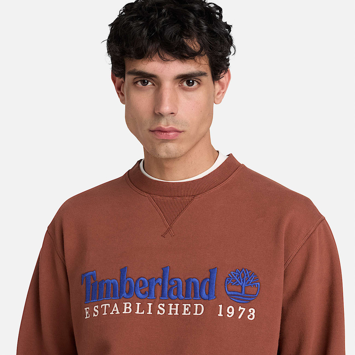 Timberland  felpa girocollo da uomo1973 Embroidered Logo ricamato TBC0YHB7 AIM mattone