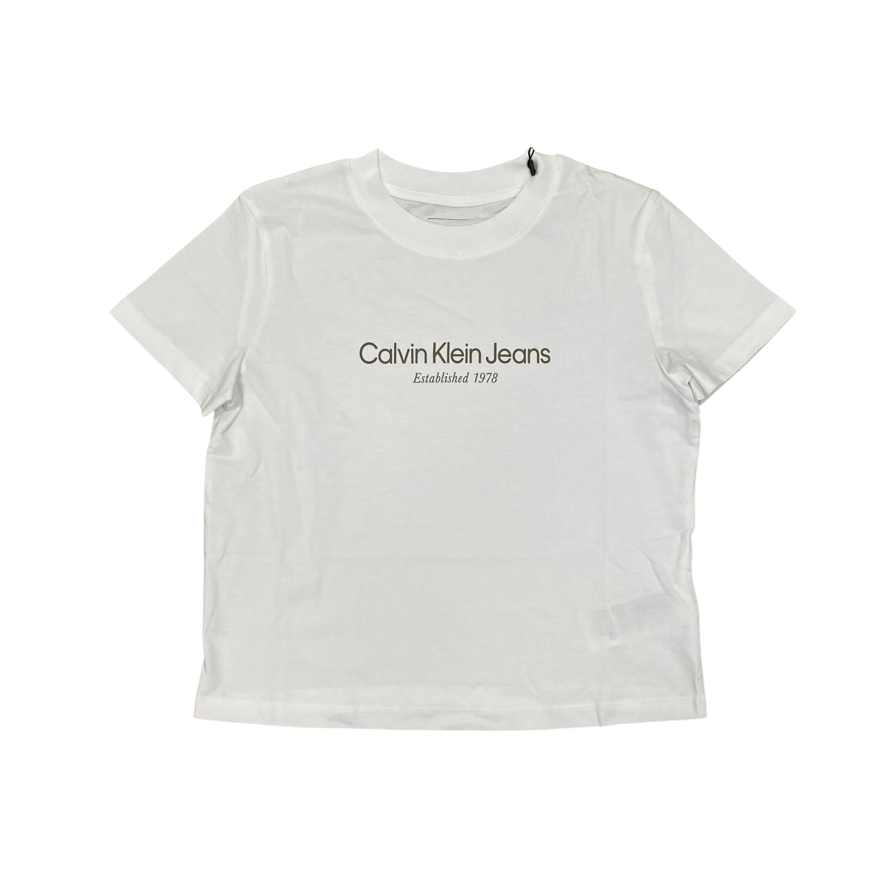 Calvin Klein maglietta manica corta da donna Institutional Graphic J20J224914YAF bianco