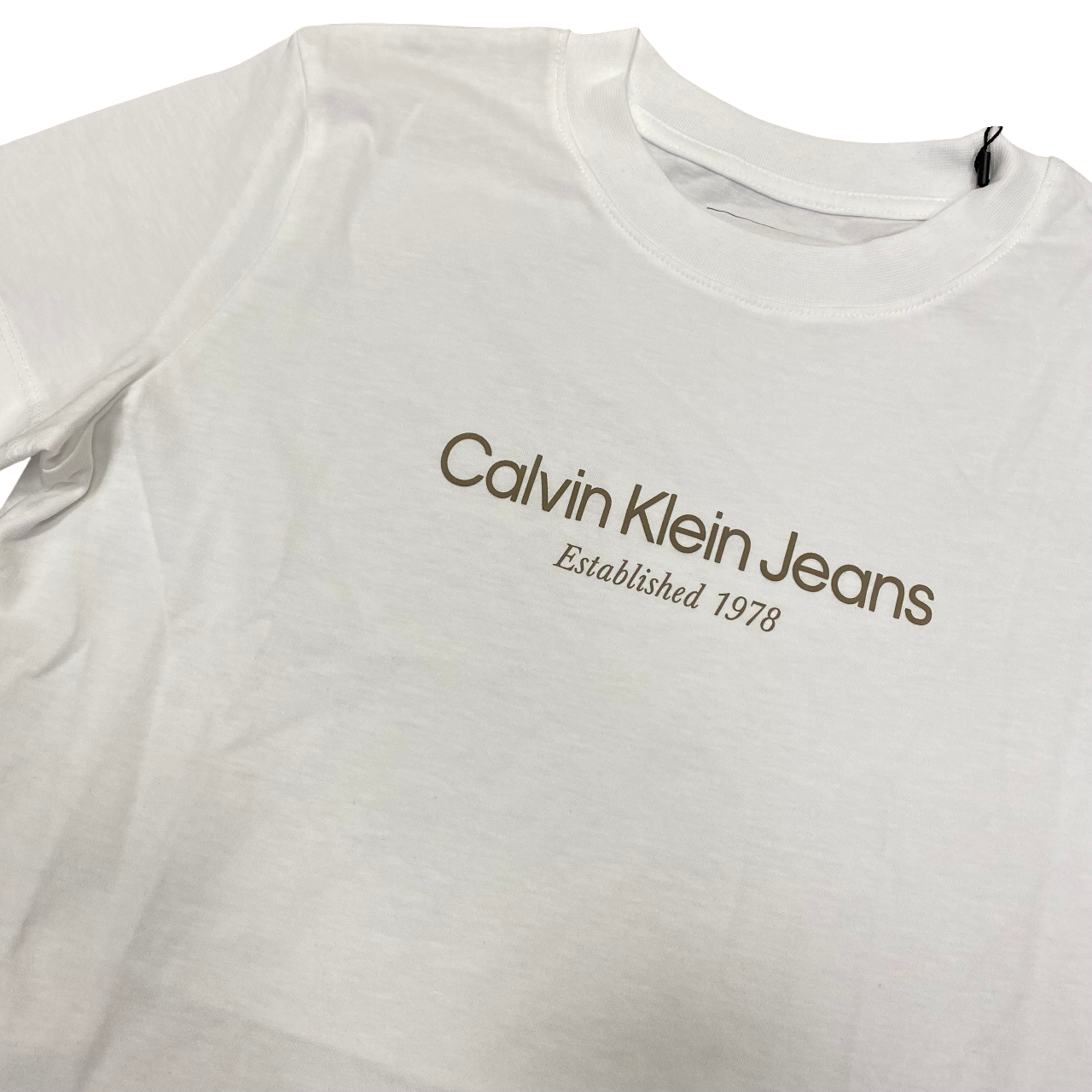 Calvin Klein maglietta manica corta da donna Institutional Graphic J20J224914YAF bianco