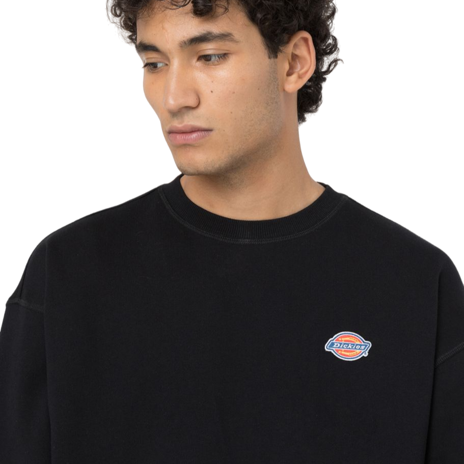 Dickies Felpa girocollo da uomo Millersburg DK0A4YLZBLK nero sportiamo 1