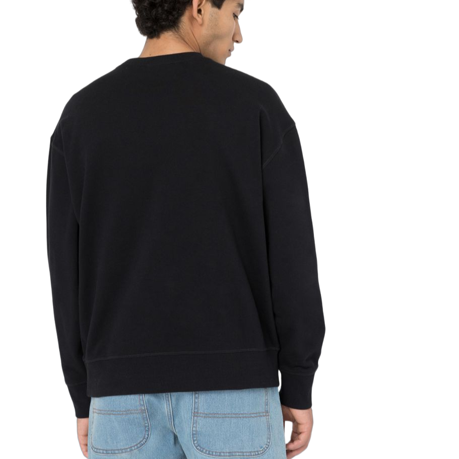 Dickies Felpa girocollo da uomo Millersburg DK0A4YLZBLK nero sportiamo 2