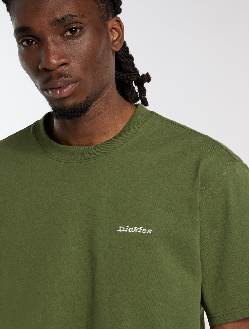 Dickies T-shirt di peso medio Loretto dk0a89enk721 Verde