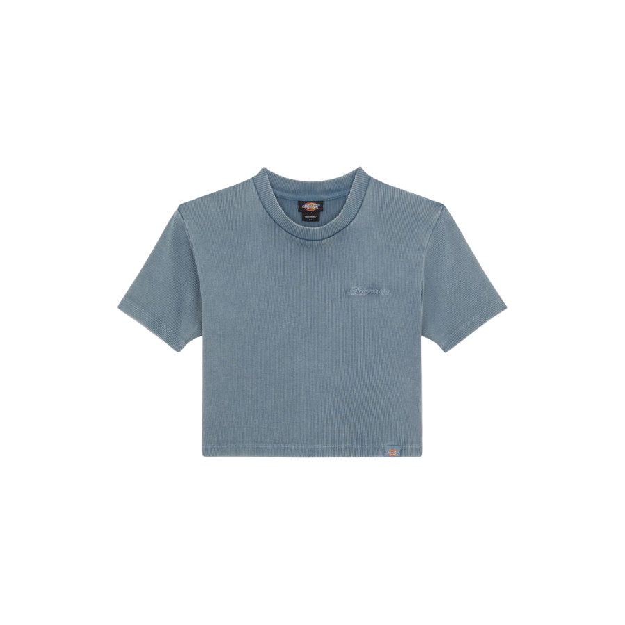 Dickies maglietta manica corta da donna a coste Plentywood DK0A866FG701 nuvole grigie2