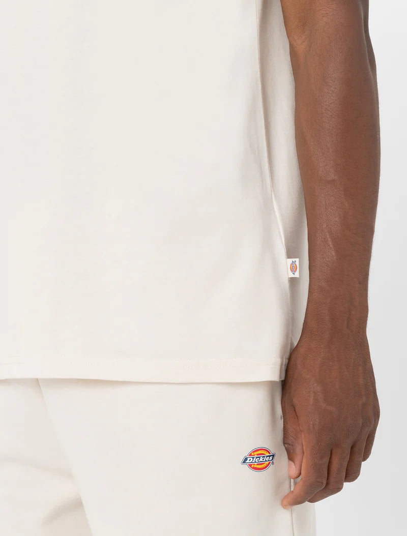 Dickies maglietta manica corta da uomo Mapleton dk0a4xdbf901 panna