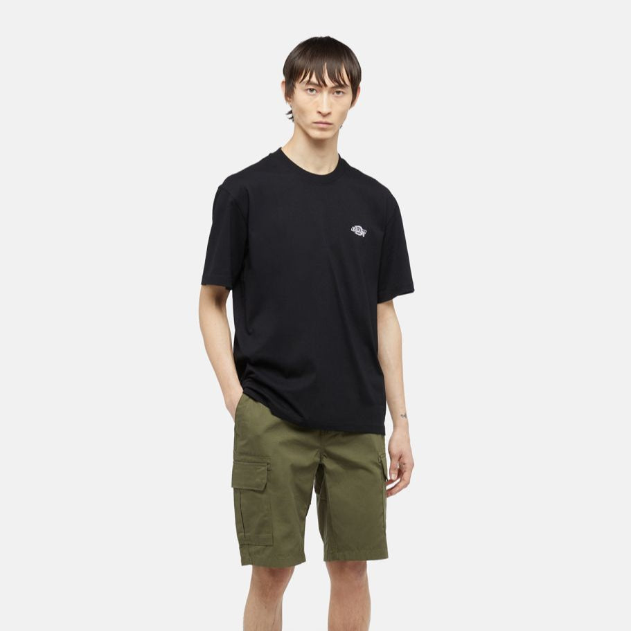 Dickies pantaloncino da uomo Millerville DK0A4XEDMGR1 verde militare
