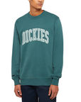 Dickies felpa girocollo da uomo Aitkin DK0A4XABJ951 verde salvia