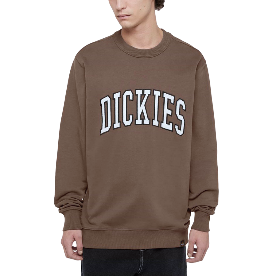 Dickies felpa girocollo da uomo Aitkin DK0A4XABJ961 fungo