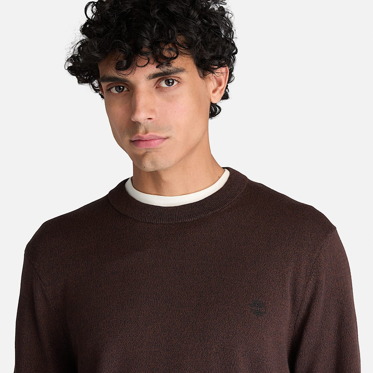 Timberland Maglione Girocollo in Cotone Williams River da Uomo TBC0YHAZ C36 marrone