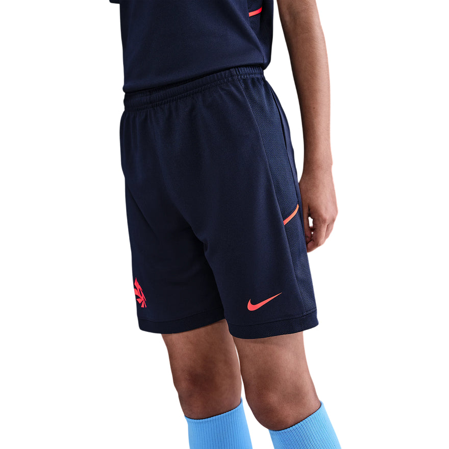 Pantaloncini Nike Erling Haaland Academy HV0213-498 Blu Junior - laterale
