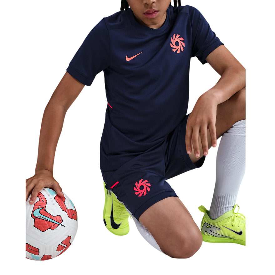 Pantaloncini Nike Erling Haaland Academy HV0213-498 Blu Junior - logo