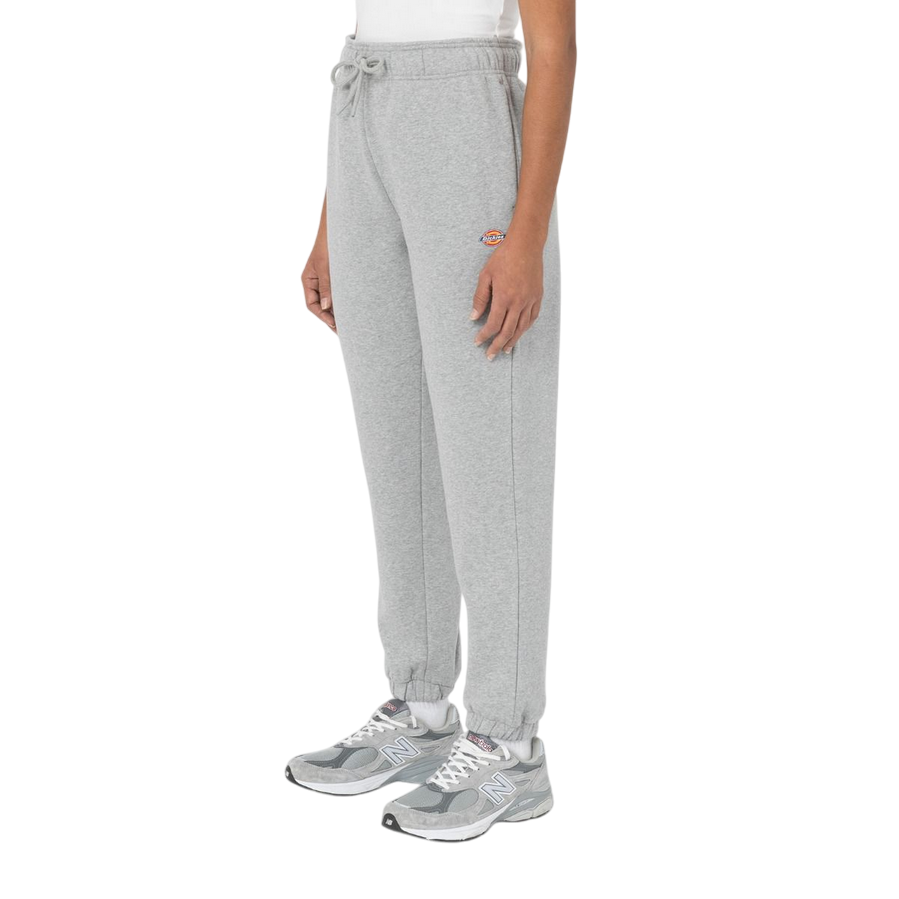 Vista laterale pantalone Dickies Mapleton DK0A4XIMGYM unisex grigio pile spazzolato