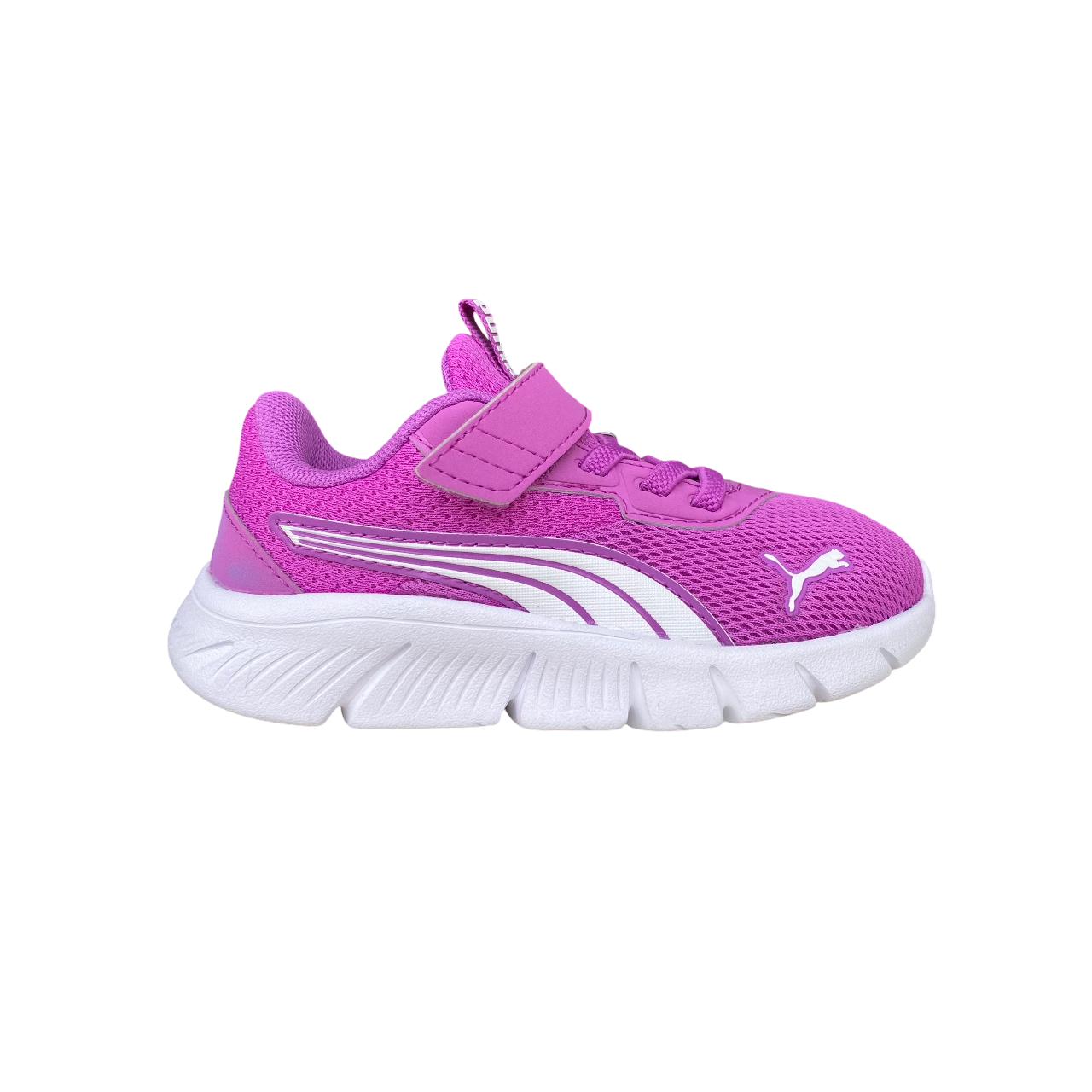 Puma scarpa da ginnastica da bambino FlexFocus Modern AC+ Inf 311523-03 bacca selvatica-bianco