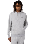 Dickies Felpa da uomo con cappuccio Uniontown Hoodie DK0A4Y3CHG01 grigio