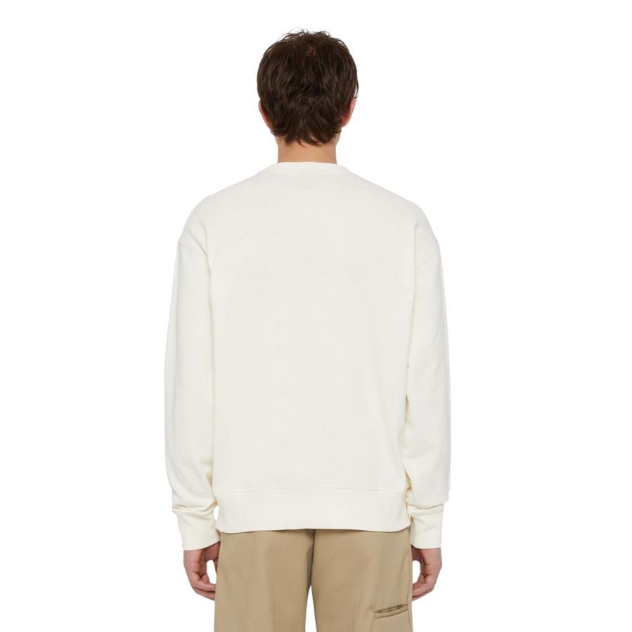 Sportiamo_Dickies Felpa girocollo da uomo Millersburg DK0A4YLZECR1 ecru1