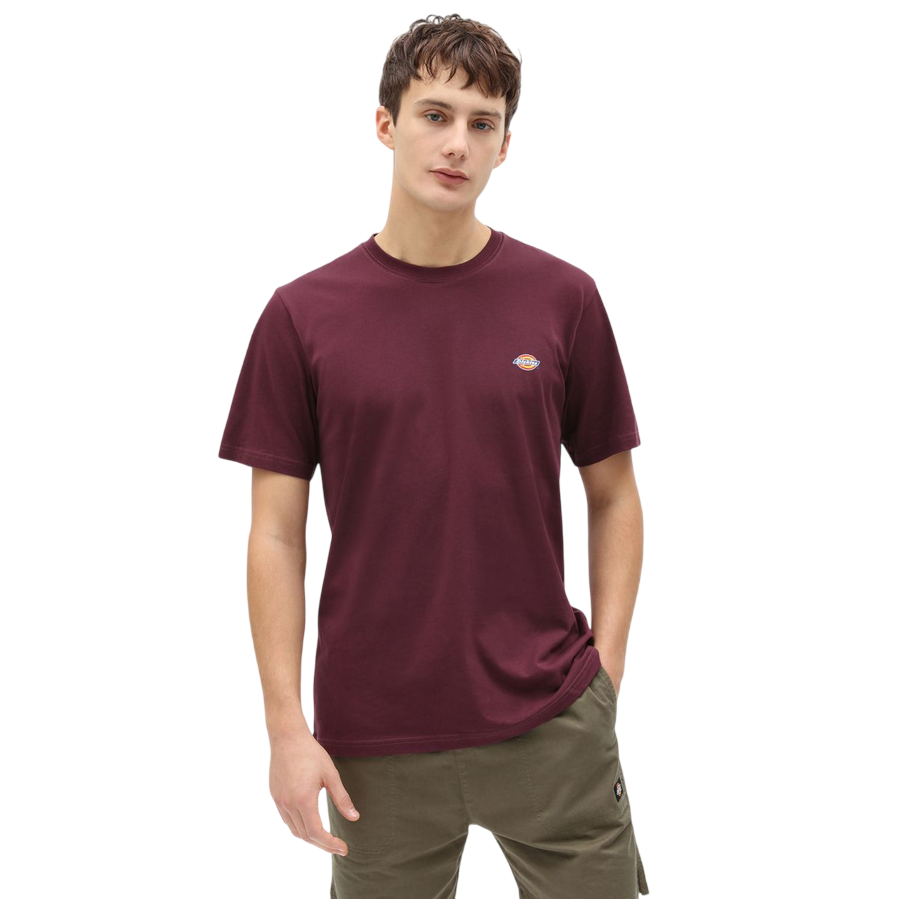Sportiamo_Dickies T-shirt manica corta da uomo  Mapleton DK0A4XDB MR0 marrone