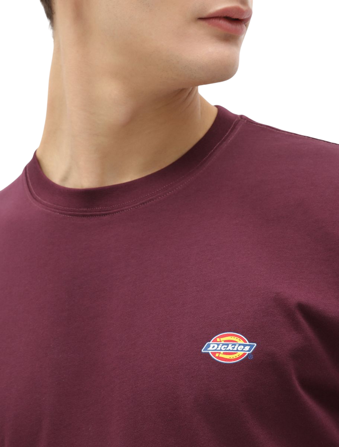 Sportiamo_Dickies T-shirt manica corta da uomo  Mapleton DK0A4XDB MR0 marrone1