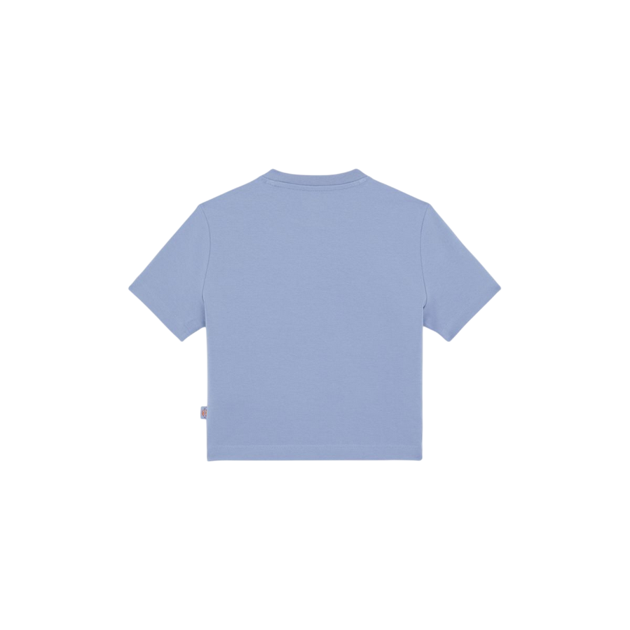 Sportiamo_Dickies maglietta manica corta da donna Maple Valley DK0A4XPOK371 celeste3
