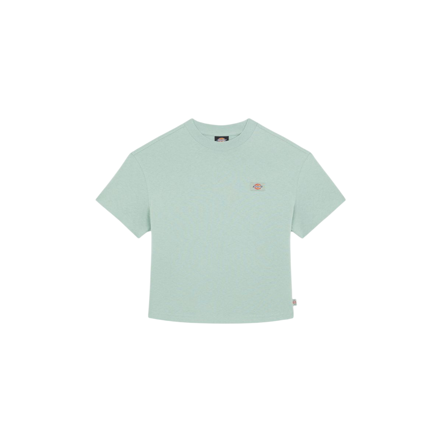 Sportiamo_Dickies maglietta manica corta da donna Oakport DK0A4XEDBLK361 salvia2