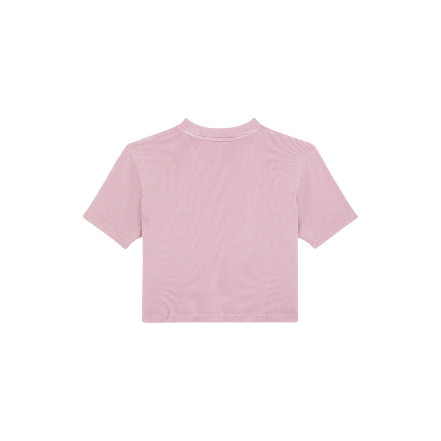 Sportiamo_Dickies maglietta manica corta da donna a coste Plentywood DK0A866FK391 rosa3